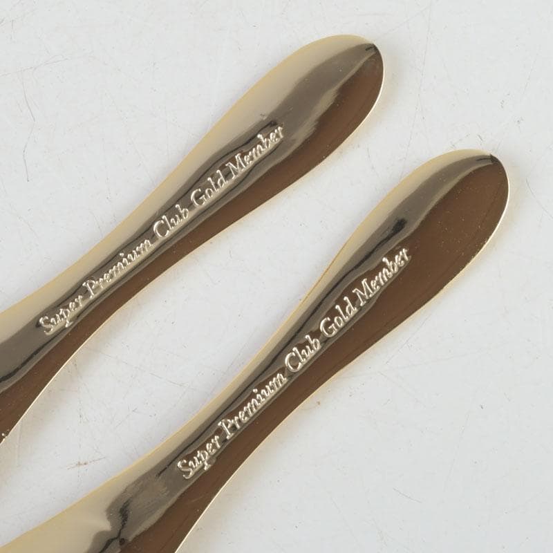 ハーゲンダッツ スーパープレミアムクラブ カップ＆スプーン C 9364