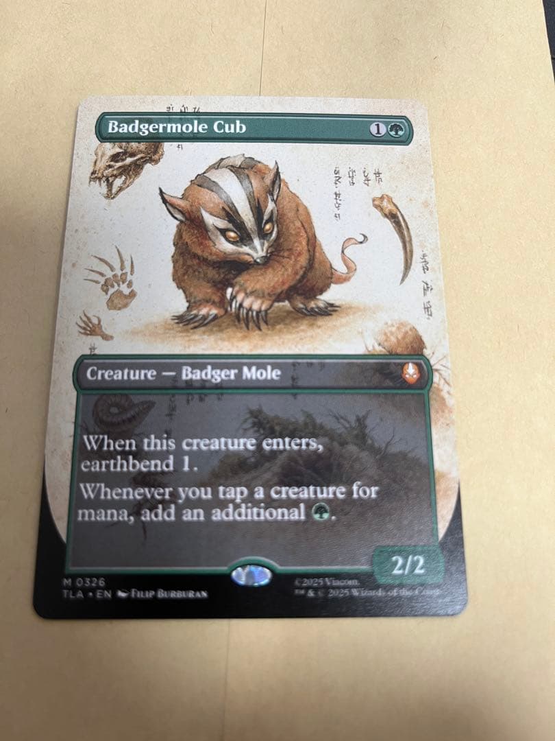 MTG アナグマモグラの仔　拡張　英語　1枚 た*館様 MTG アナグマモグラの仔/Badgermole Cub 英語版 - メルカリ