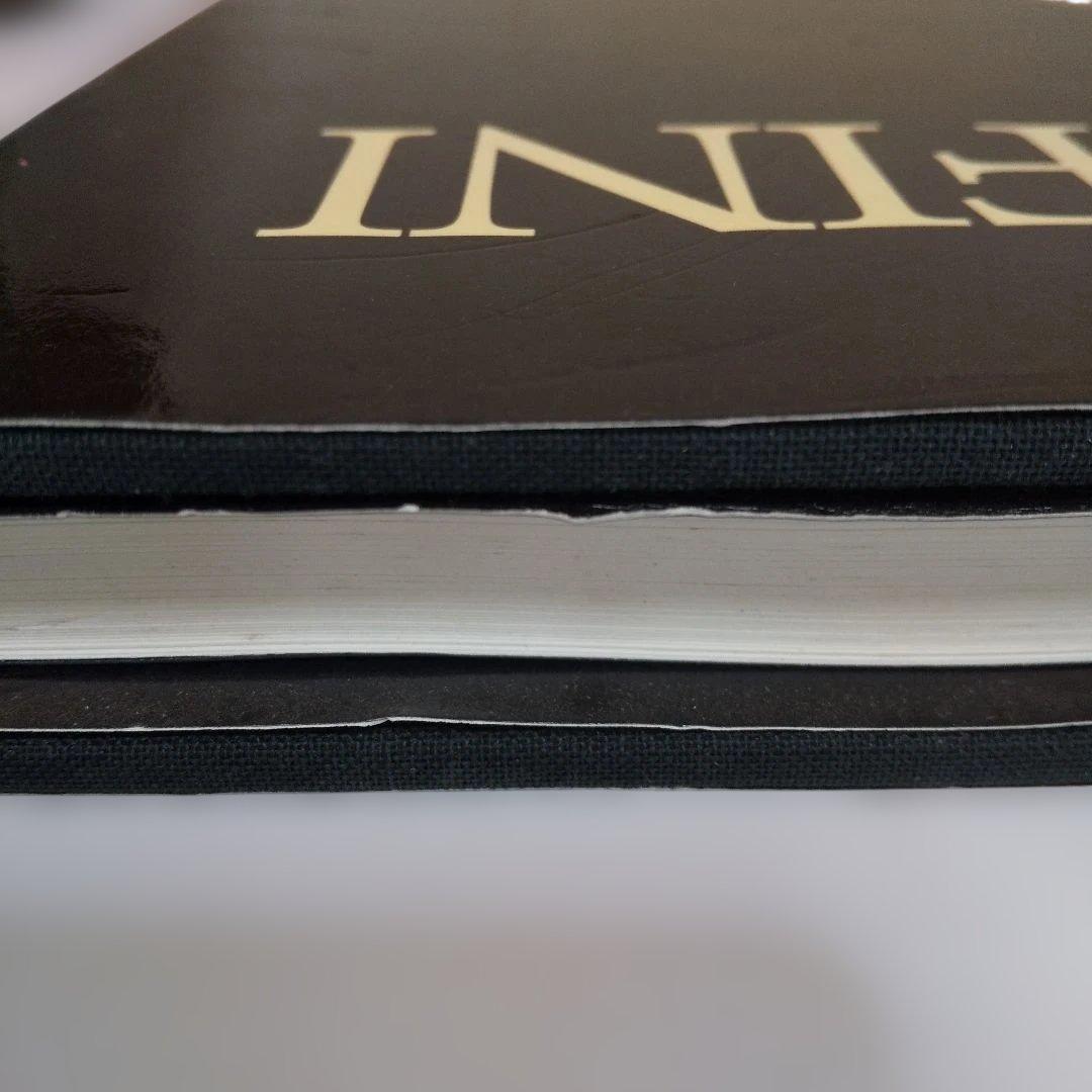 LEONOR FINI(レオノール・フィニ画集)(仏語版) - メルカリ