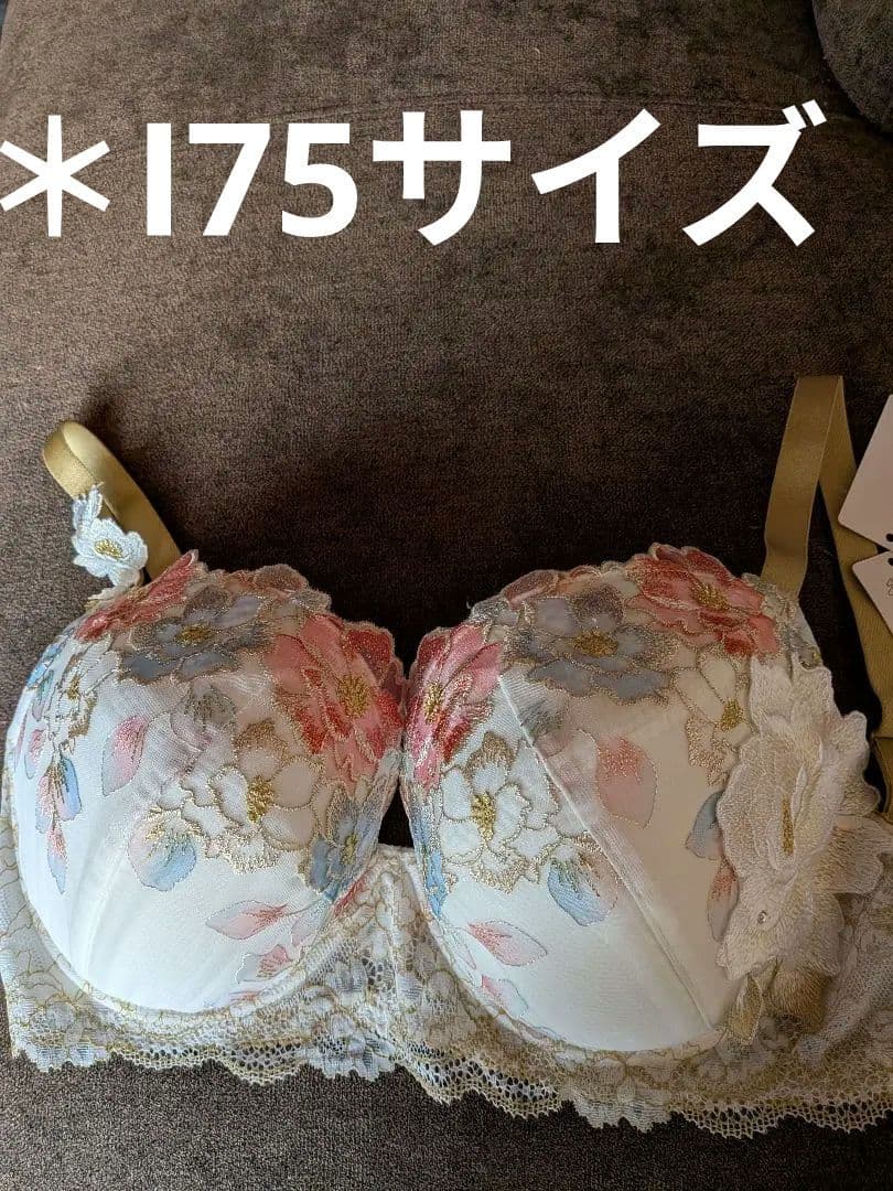 。チョコレート様。Salute 03グループブラジャー l75、ショーツL。