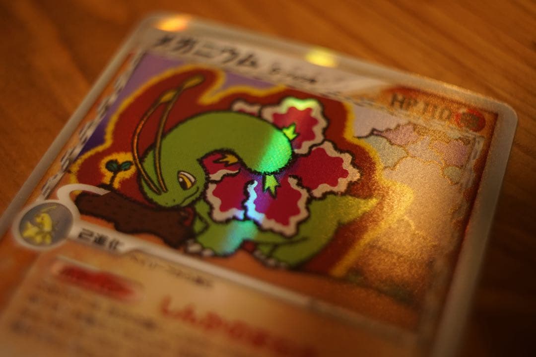 メガニウム デルタ種 1ED さいはての攻防 超美品 ポケカ
