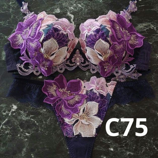 サルート☆29G☆　C75 ＆ソングМ　KO