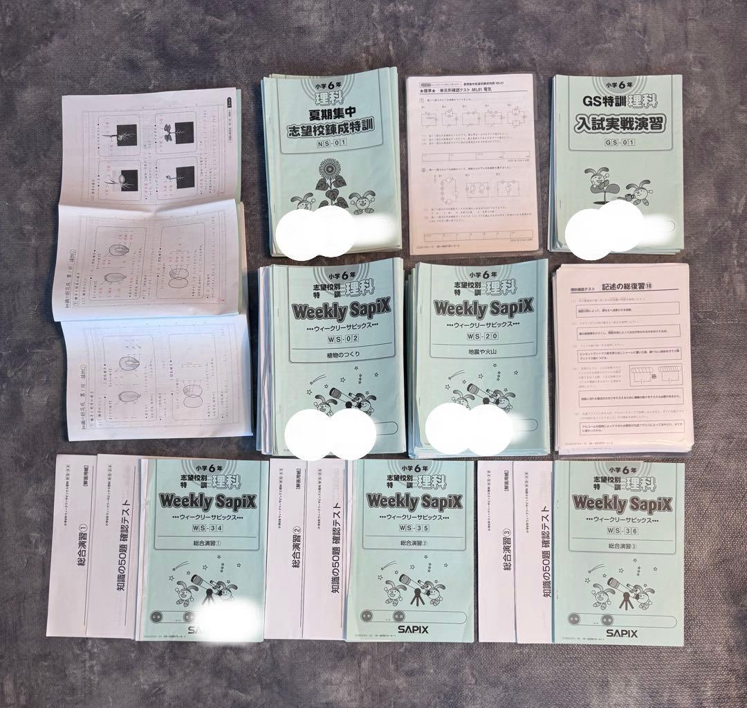 理科 土曜特訓 Weekly Sapix 知識の総完成 テキストフルセット - メルカリ