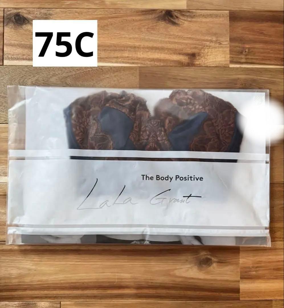 LALA Grant Gracy 3/4カップ ラピス&シェル75C (2枚)