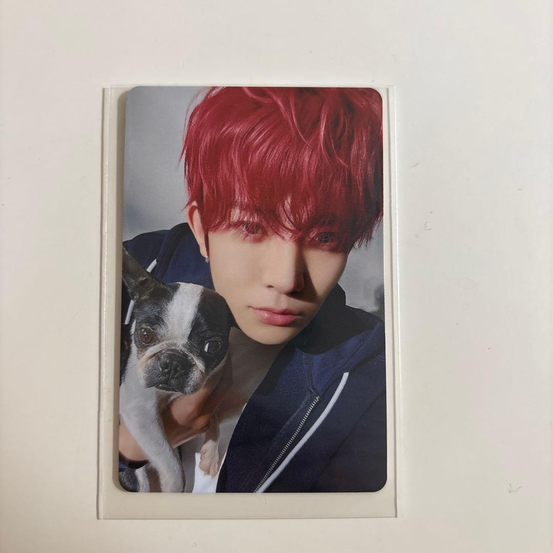 ENHYPEN FC トレカ　アンケート　ヒスン HEESEUNG