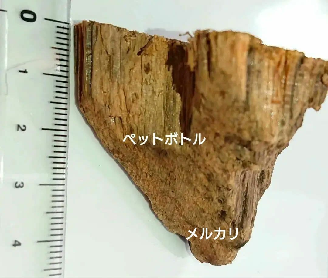 香木 沈香 伽羅 聞香◎品名:ブルー白檀の根っこ15g - メルカリ