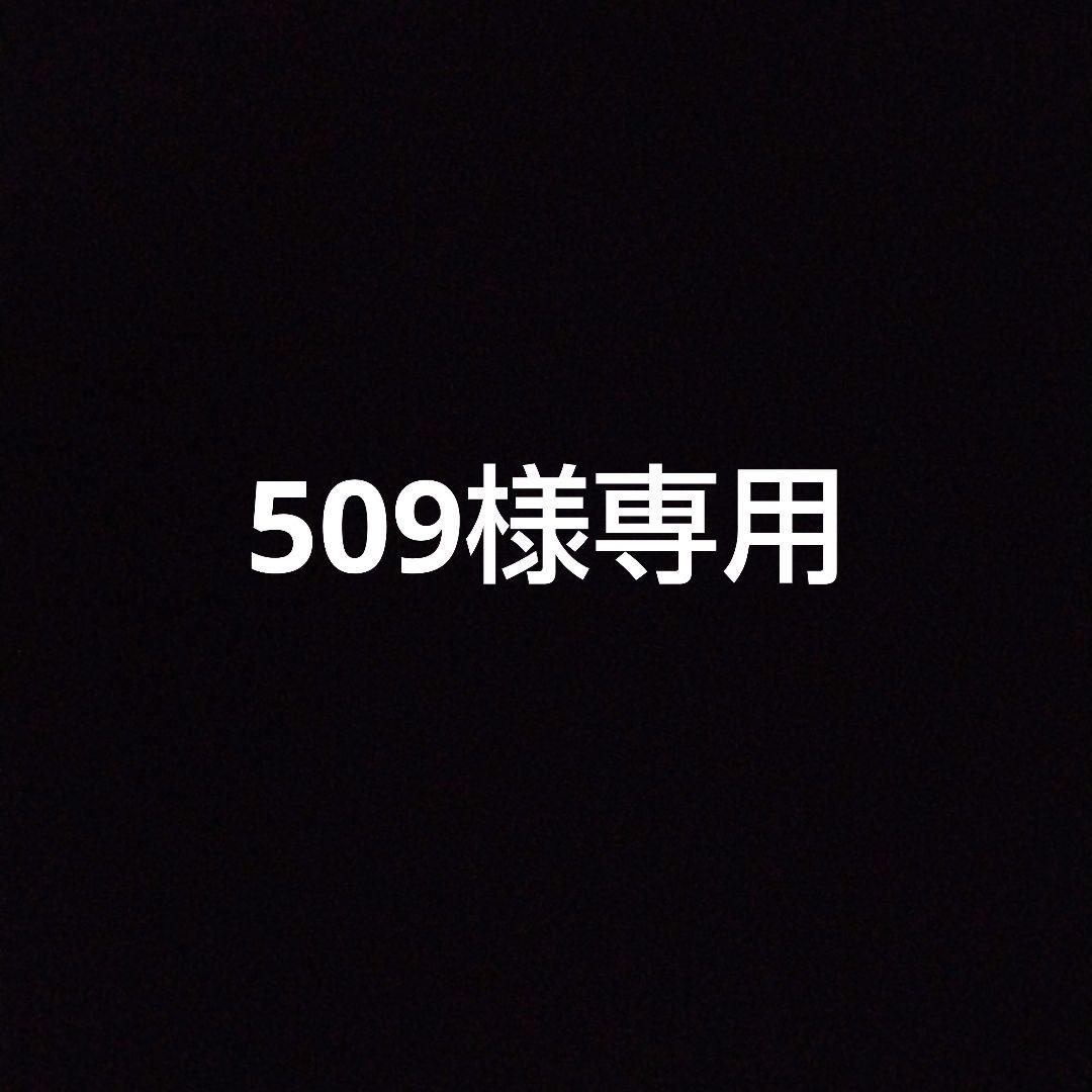 バッグ 509