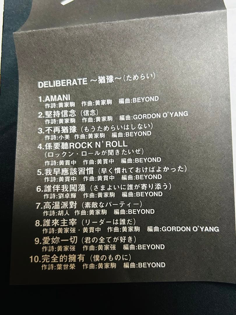 BEYOND ビヨンド DELIBERATE 貴重な日本盤CD