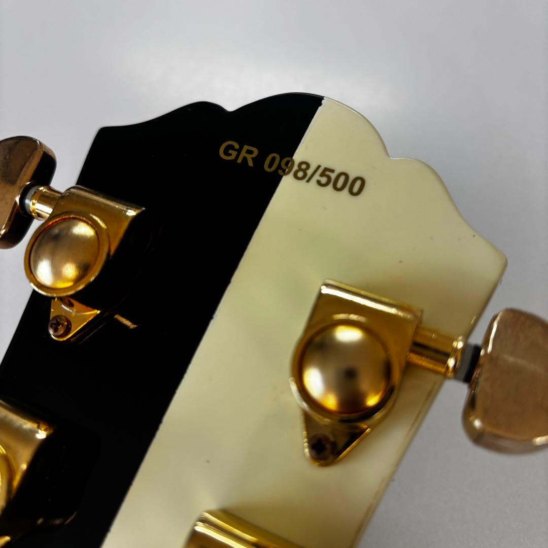 500本限定/レア美品☆ GReeeeN Naviモデル レスポール ケース付属