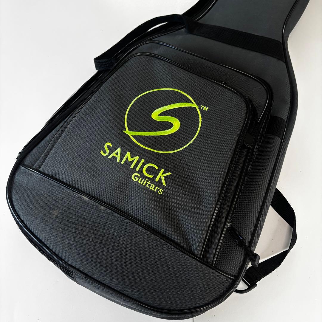 500本限定/レア美品☆ GReeeeN Naviモデル レスポール ケース付属