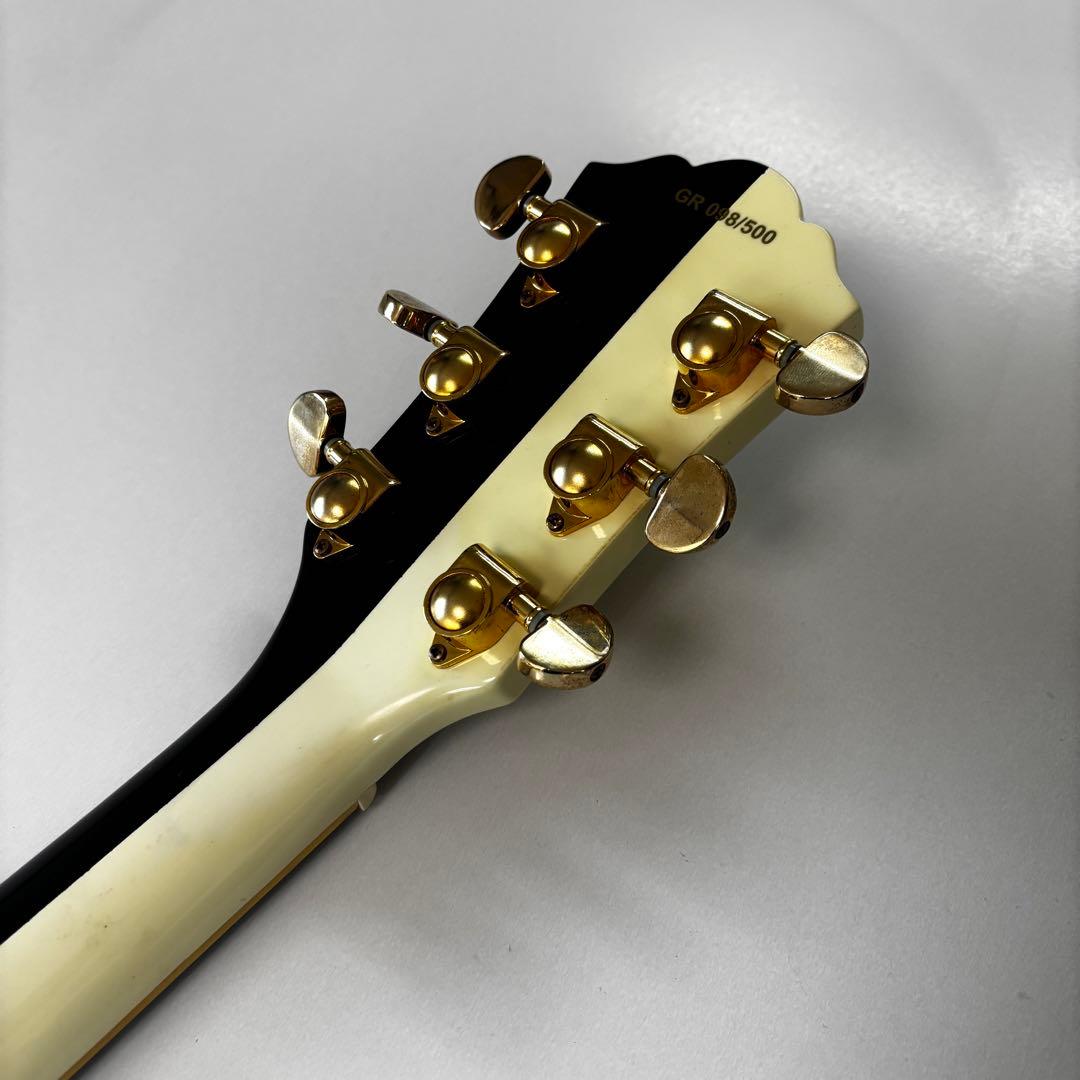 500本限定/レア美品☆ GReeeeN Naviモデル レスポール ケース付属