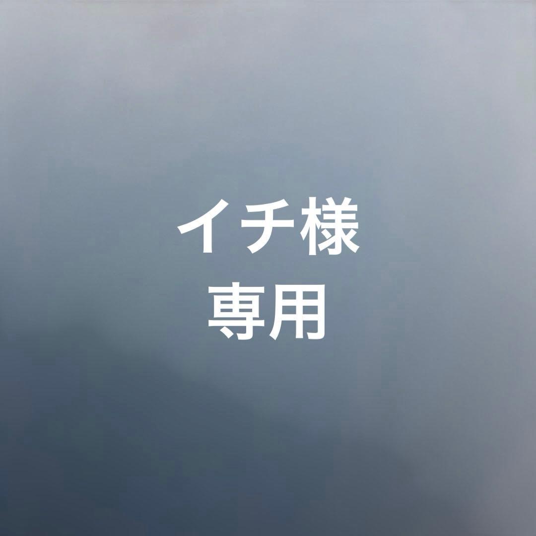 サンガッツ本舗 総進撃ゴジラ マジョーラ ワンフェス 2025 ゴジラ ソフビ Nami Kikaku ゴジラ−1 彩色マイゴジマイナスワンソフビsofvi GODZILLA