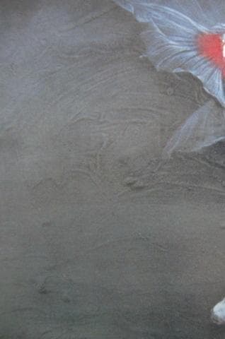 堀井聰、【魚の音】、希少な額装用画集より、新品額装付、状態良好