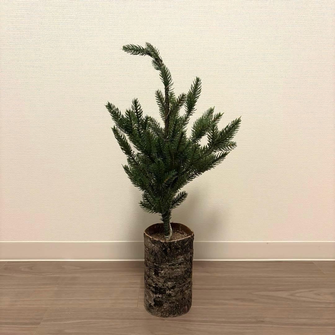 クリスマスツリー　ライト付き クリスマスツリー キャロルツリー 210cm LEDライト付き【送料無料】