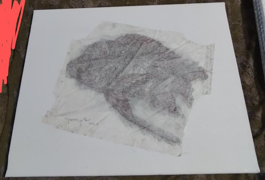 ヒロヤマガタ　巨匠真作魚直筆ドローイング鉛筆木炭画5号額無し保証書あり ヒロ・ヤマガタ巨匠真作魚直筆ドローイング鉛筆木炭画5号額無し保証書あり