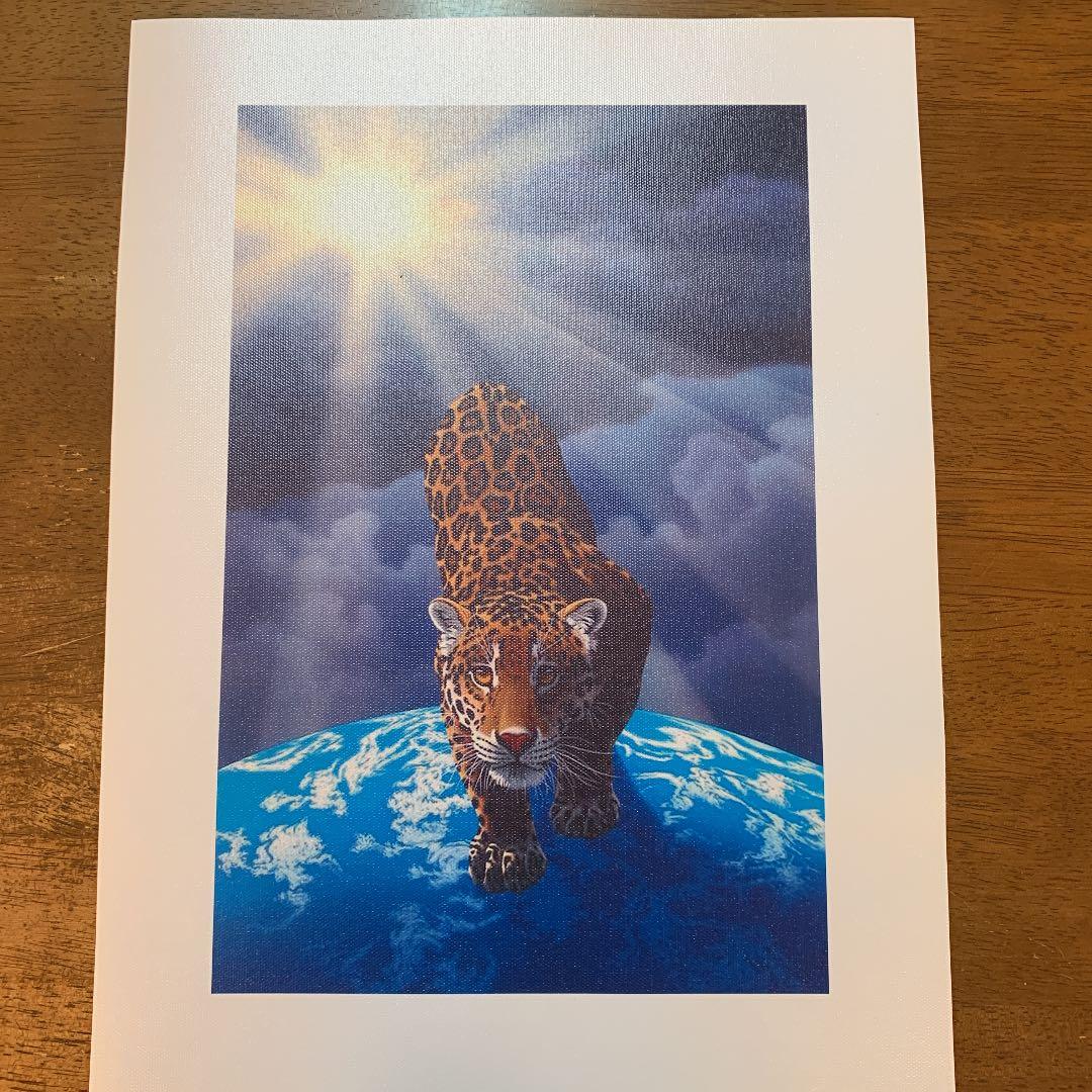 シム シメール ヘブンアンドアース - メルカリ