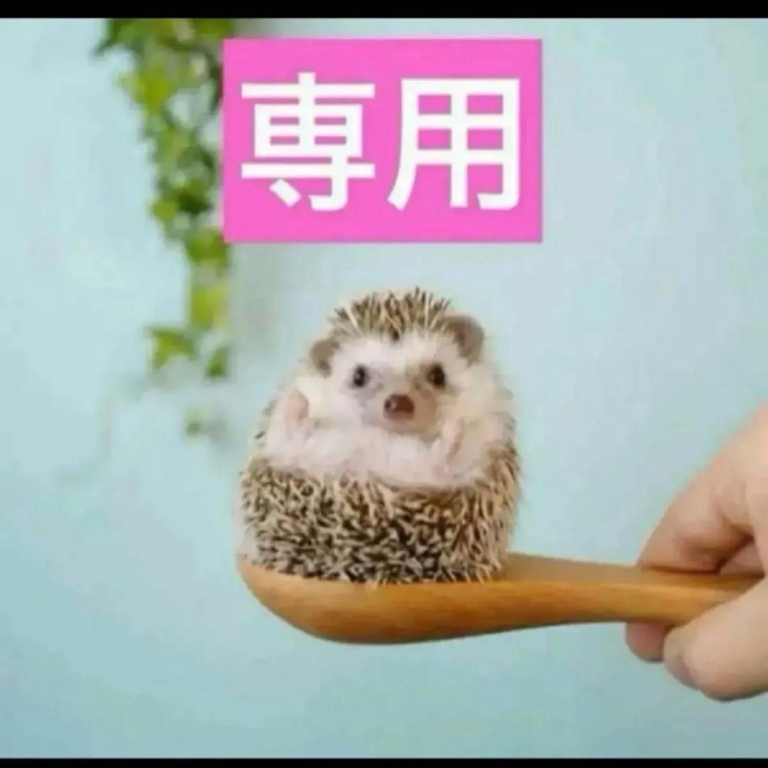 2点、アンテグラール