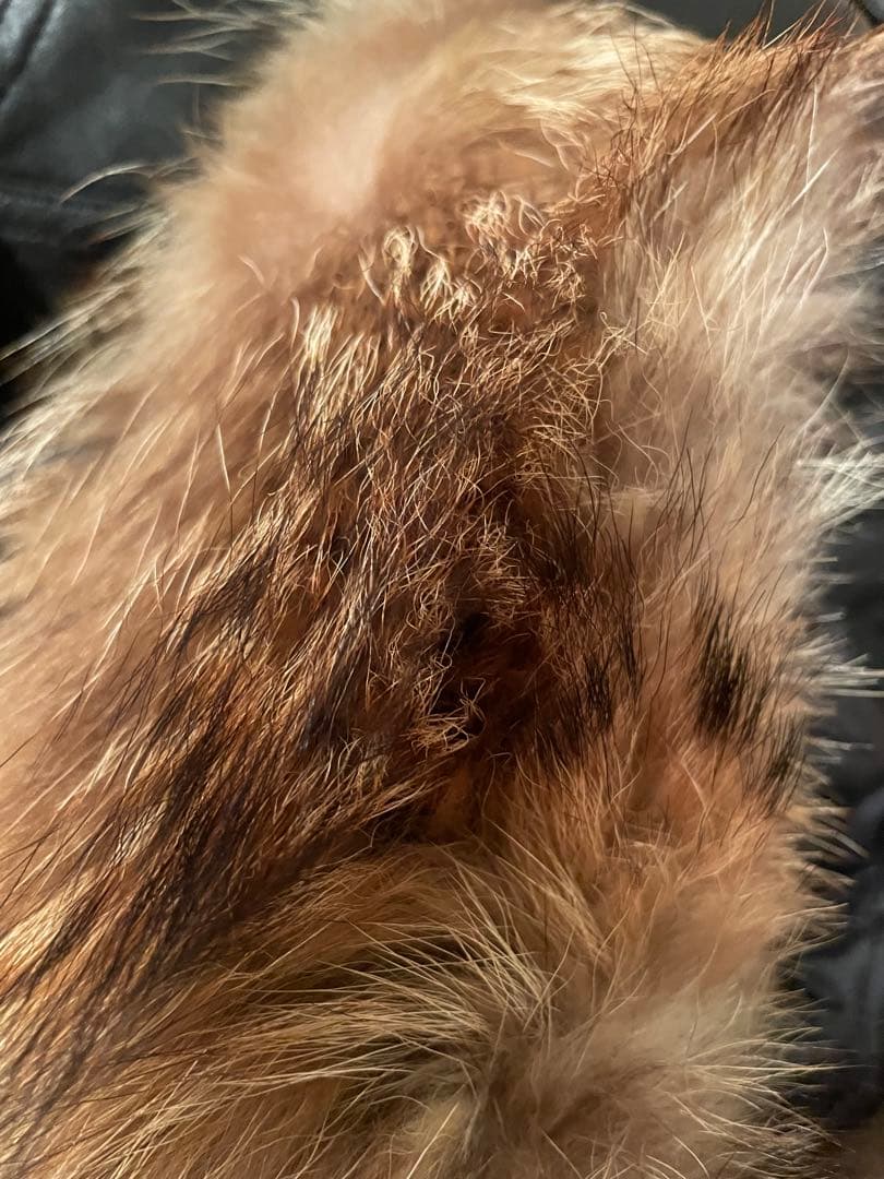 超希少　VIP ジャネットジャクソン　龍刺繍　山本寛斎　羊革