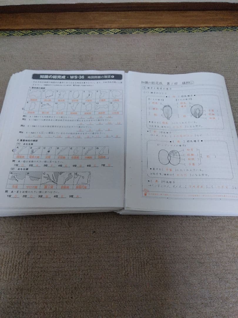 2023 SAPIX ウィークリーサピックス 理科・社会 知識の総完成 赤解答