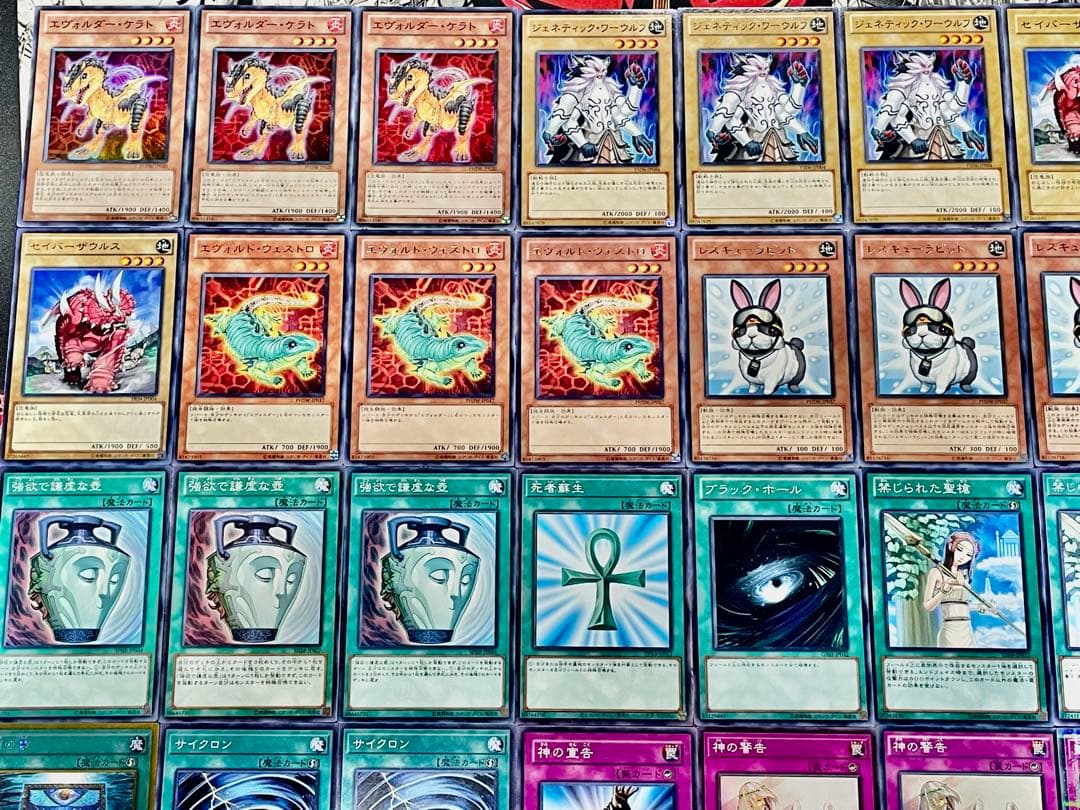 遊戯王 エヴォル 兎ラギア デッキ 1103環境 本格構築 デッキパーツ