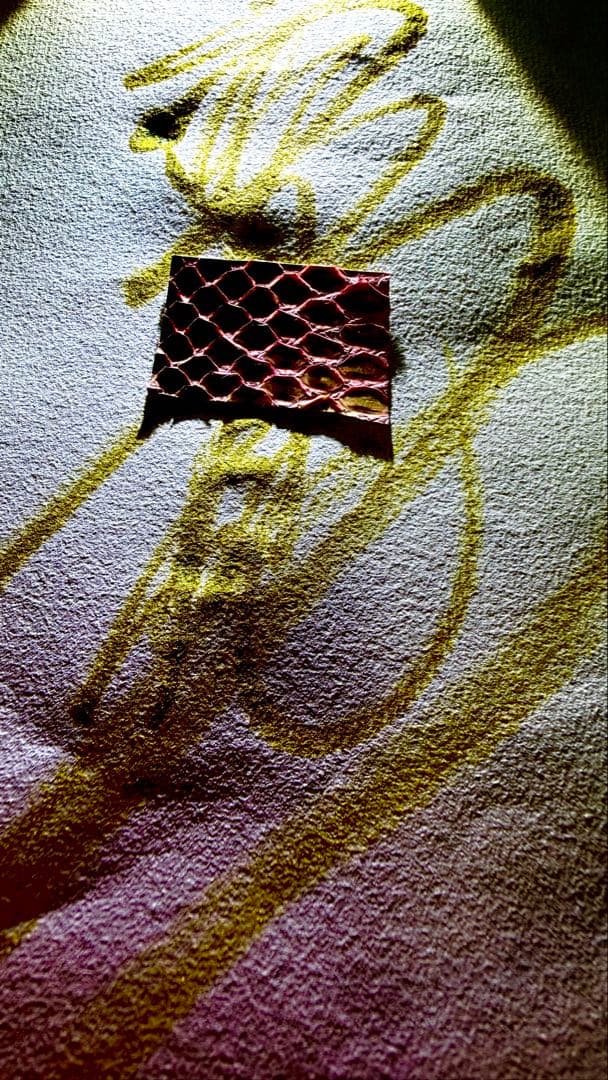 桃蓮玉 白蛇運気からのメッセージ毒蛇の報復運命総奪還