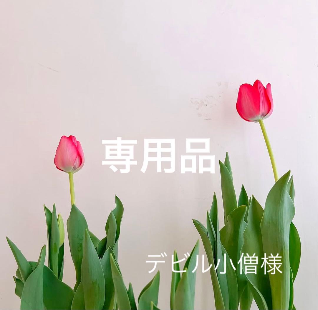 デビル小僧 　TRクリーム　インテリジェントレフィル