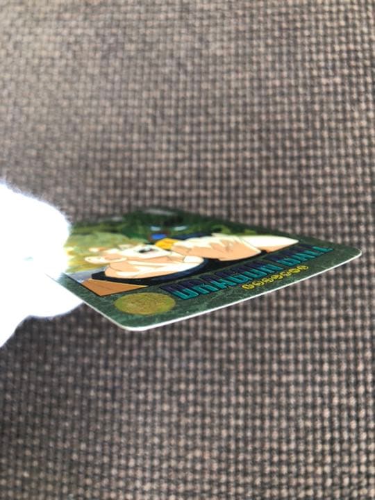 最終値下】超希少 ドラゴンボールZ カードダス ビジュアル