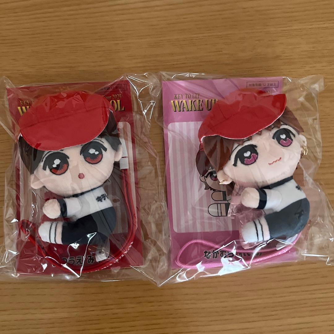 くっつキテレツ 井上瑞稀 中村嶺亜 KEY TO LIT キテレツ グッズ 新品未開封 KEY TO LIT 井上瑞稀 くっつきてれつ ぬいぐるみ キテレツ