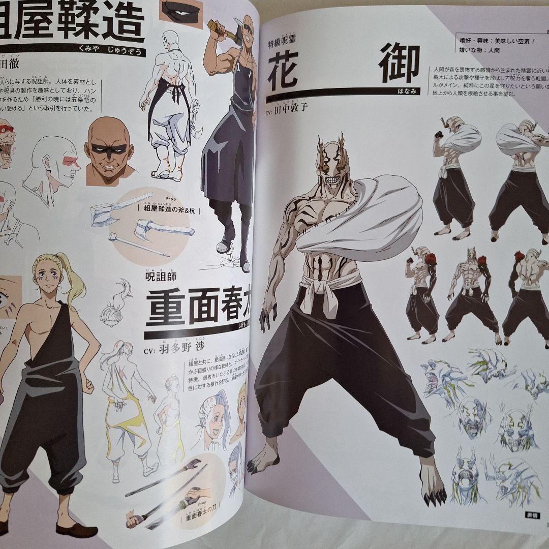 呪術廻戦 公式ガイドブック』 & SWITCH特集号 - メルカリ