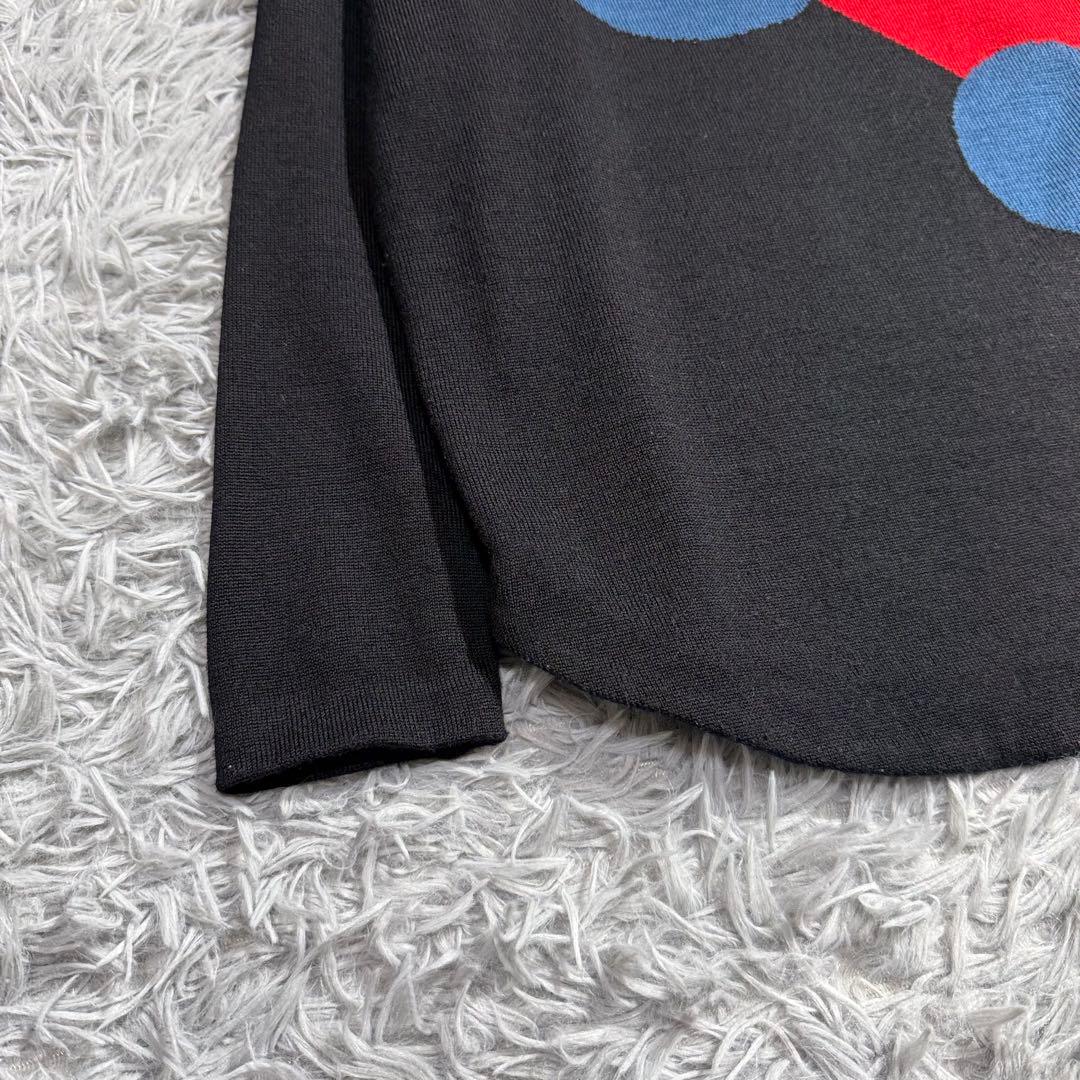 美品✨22AW 現行品 シビラ サークルインターシャアートデザインニット M