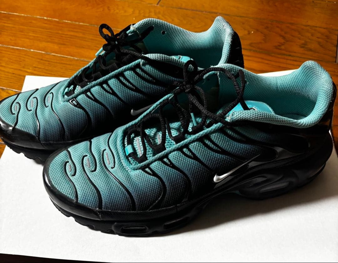 靴 Nike air max plus light retro 26.5