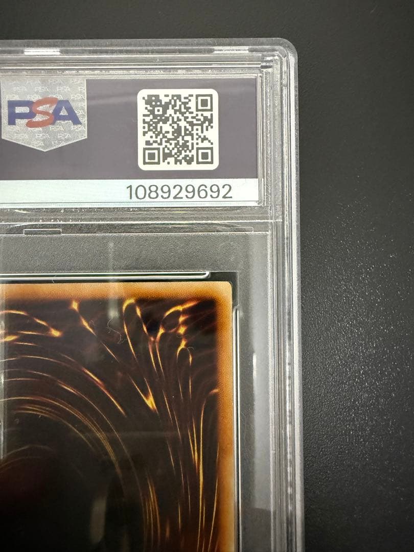 遊戯王 青眼の白龍 初期スターターボックス PSA8 ブルーアイズ