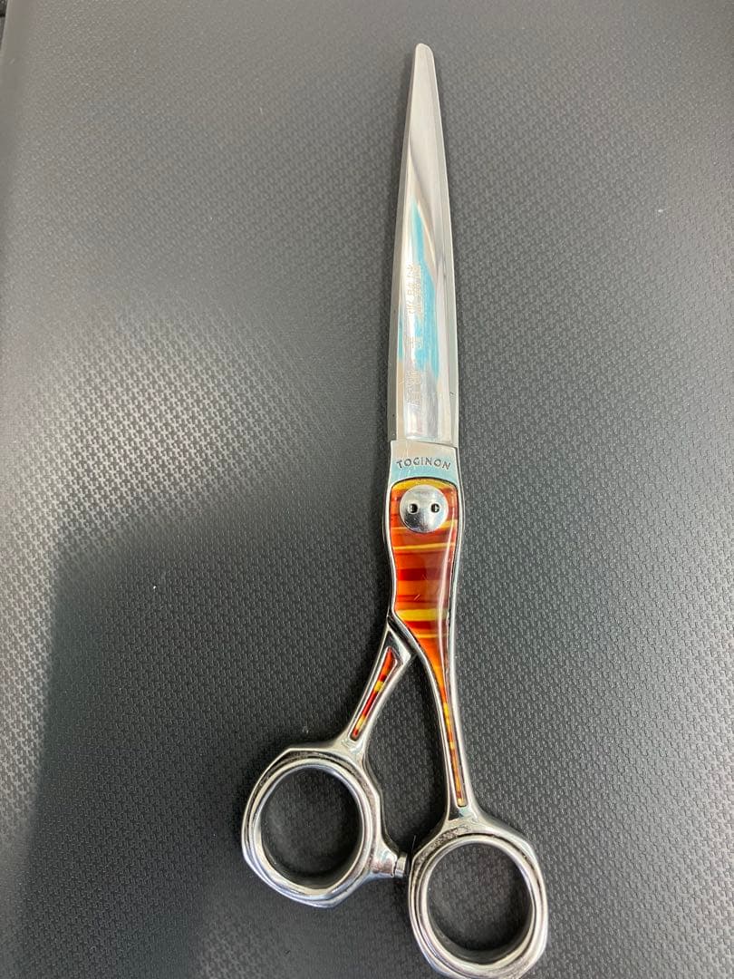トギノンシザー