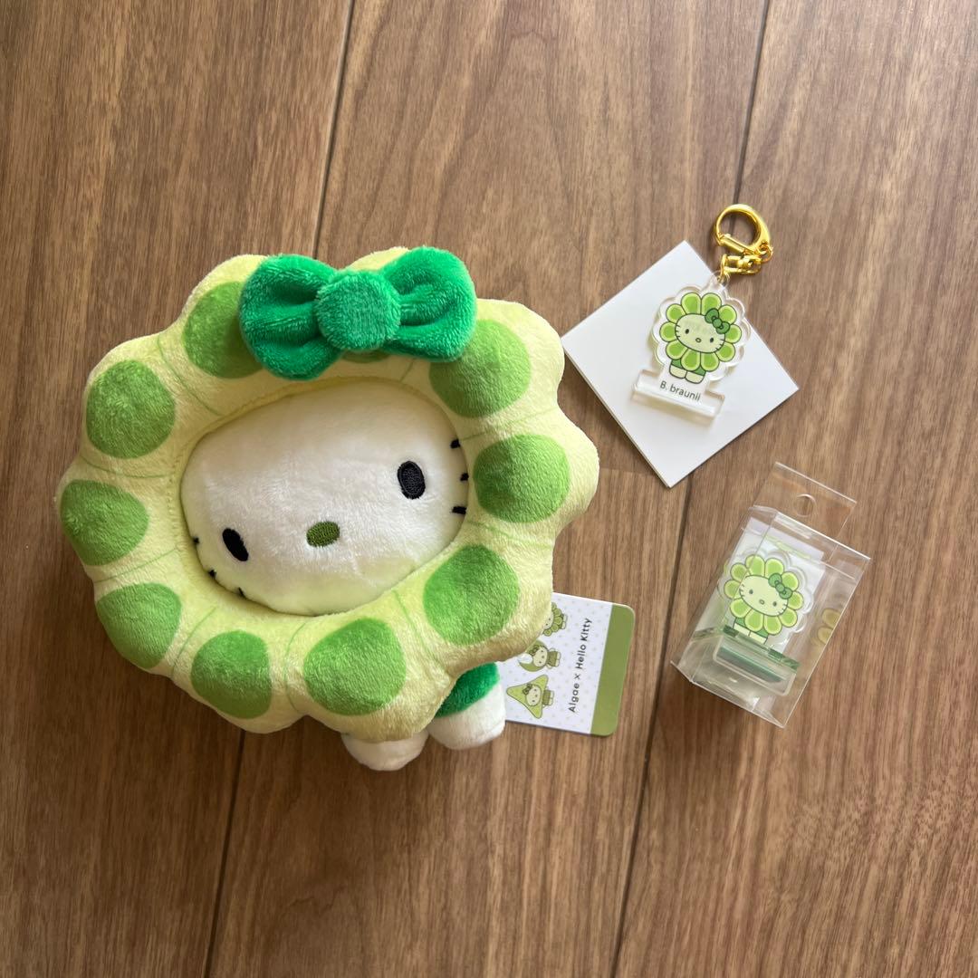 3点セット　ハローキティ 藻類 ぬいぐる　アクリルスタンドスタンプ　キーホルダー ハローキティ サンリオ マスコットホルダー ボルボックス(Volvox) 藻類