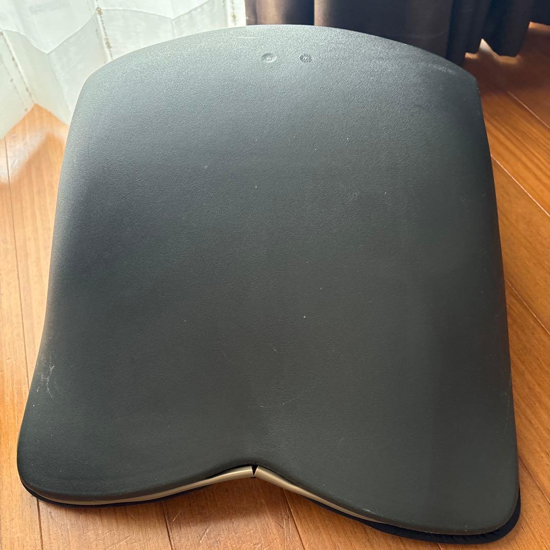 詳細は説明欄に！ スタイルプレミアム姿勢矯正クッション ブラック 2個