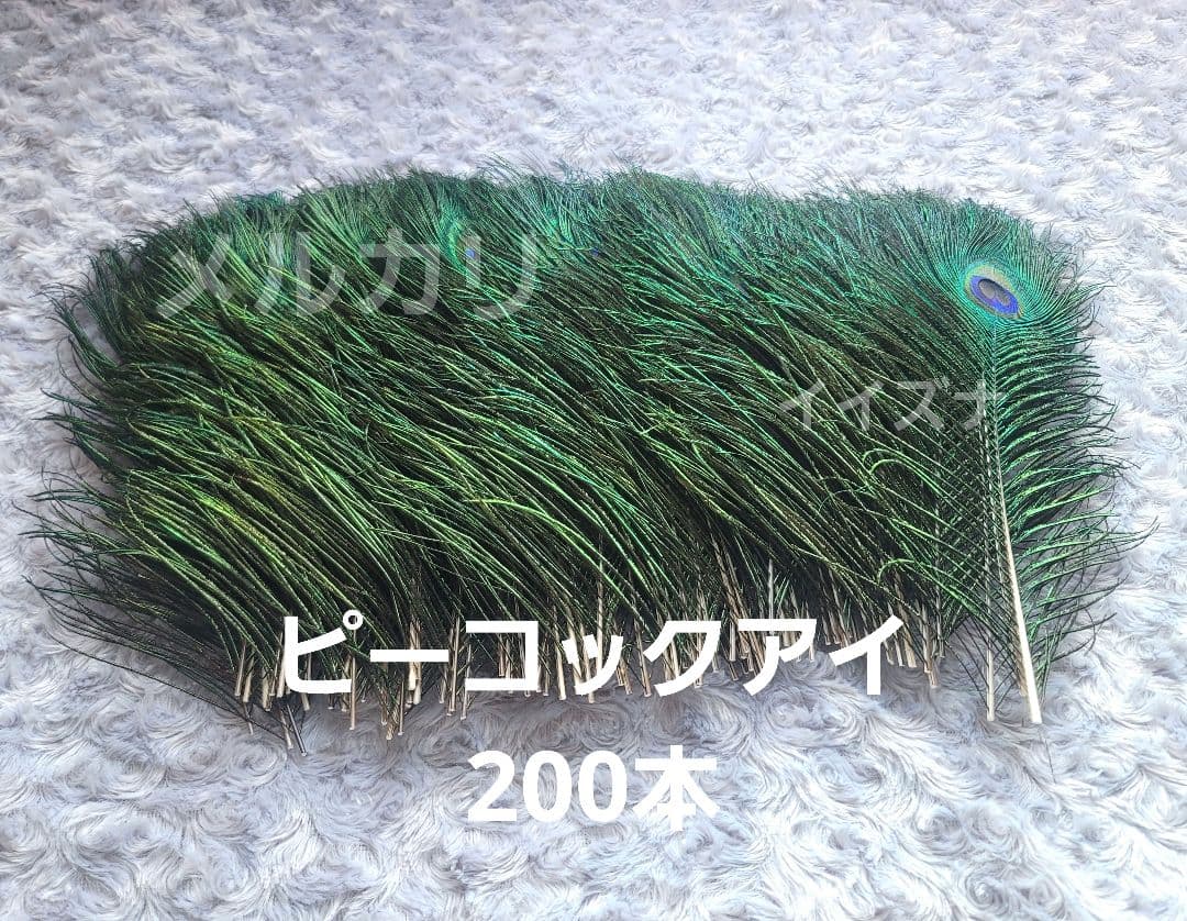 ピーコックアイ 200本 コエポン様ご依頼品