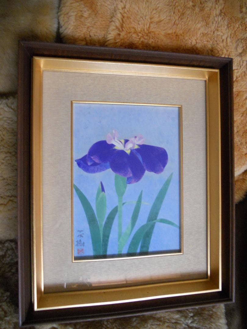 黒光茂樹 絵画 日本画 「 花菖蒲 」 昭和 モダニズム アート です。