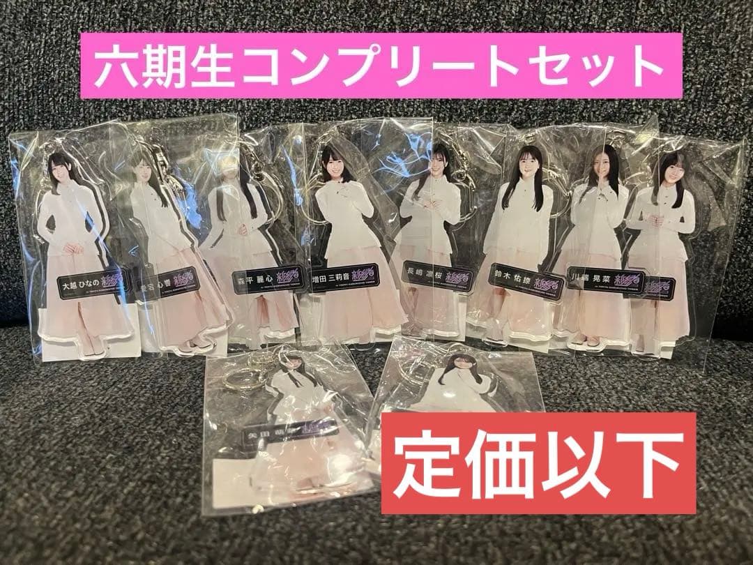 【新品未開封】 乃木坂46 新参者 個別アクリルキーホルダー 六期生コンプセット