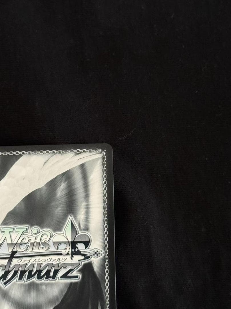 勝利の女神NIKE (アニスSEC+)サイン入り - メルカリ