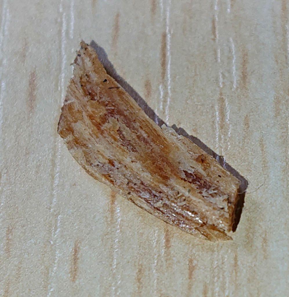 香木 沈香 伽羅 聞香◎品名 ブルー白檀の根っこ⑤ - メルカリ