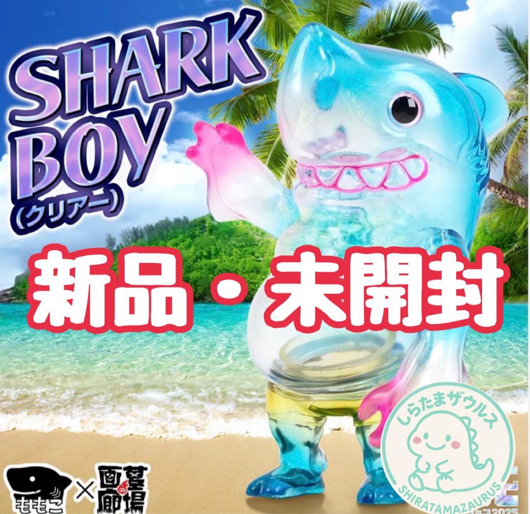 Momoco Studio × 墓場の画廊　SHARK BOY　シャークボーイ