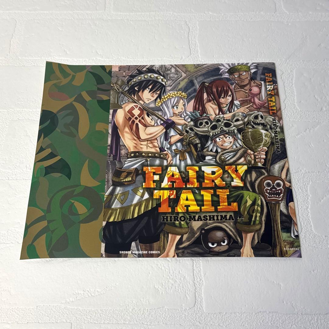 フェアリーテイル　コミックカバー DVD付き FAIRY TAIL(55)特装版 (少年マガジンコミックス) | 真島 ヒロ