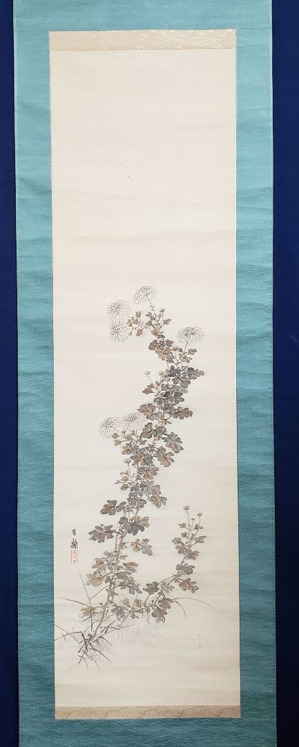【菊図】石河有隣 2529 キク　掛け軸　肉筆