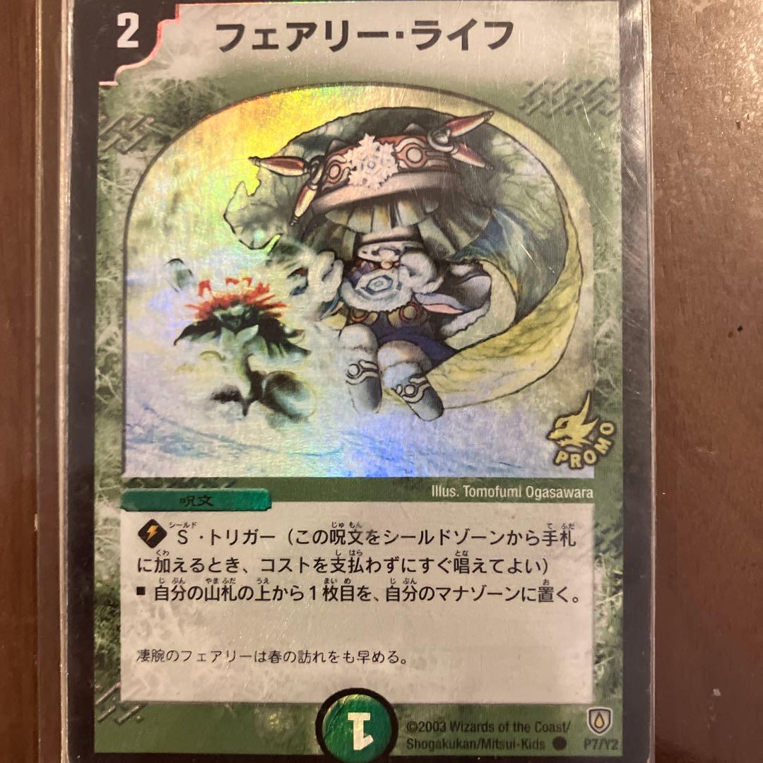 フェアリーライフプロモ