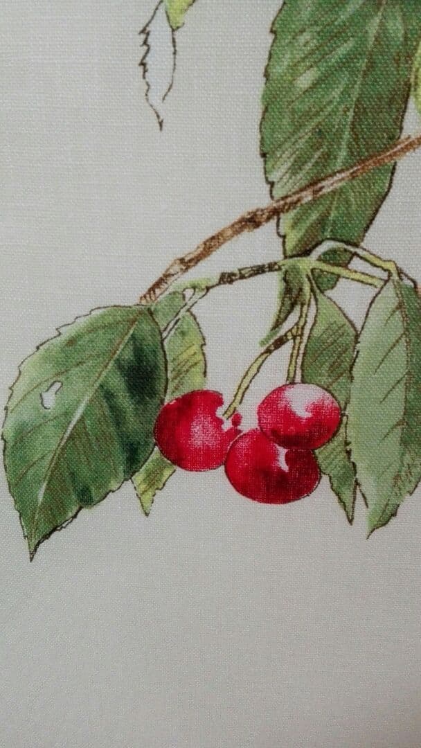 【値下げ】ジムトンプソン　タペストリ　額装