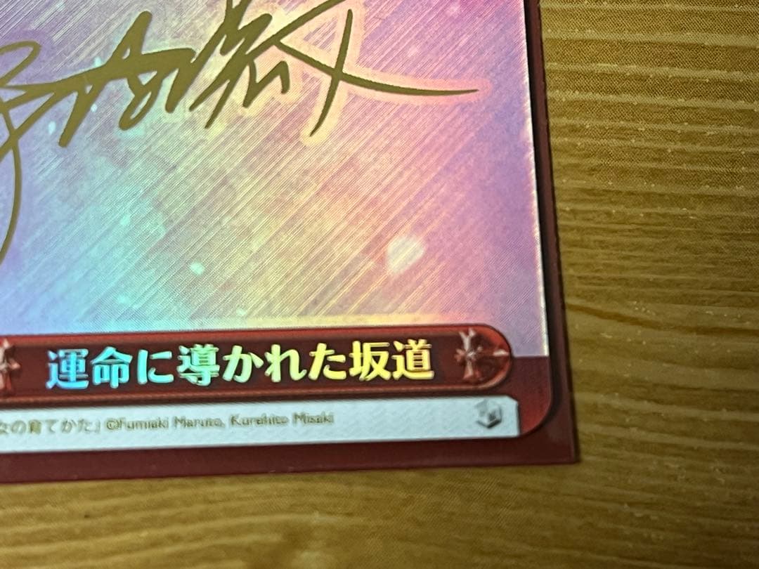 ヴァイスシュヴァルツ 運命に導かれた坂道 冴えない彼女の育て方