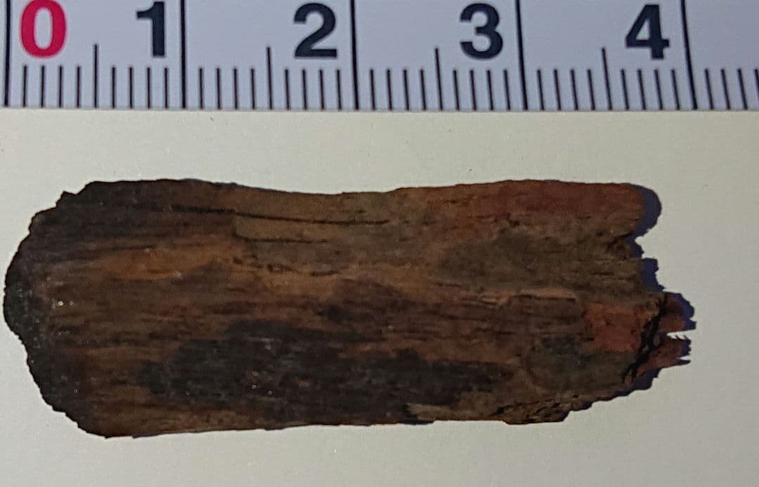 聞香・柬蒲寨産油っぽい赤茶黄花梨