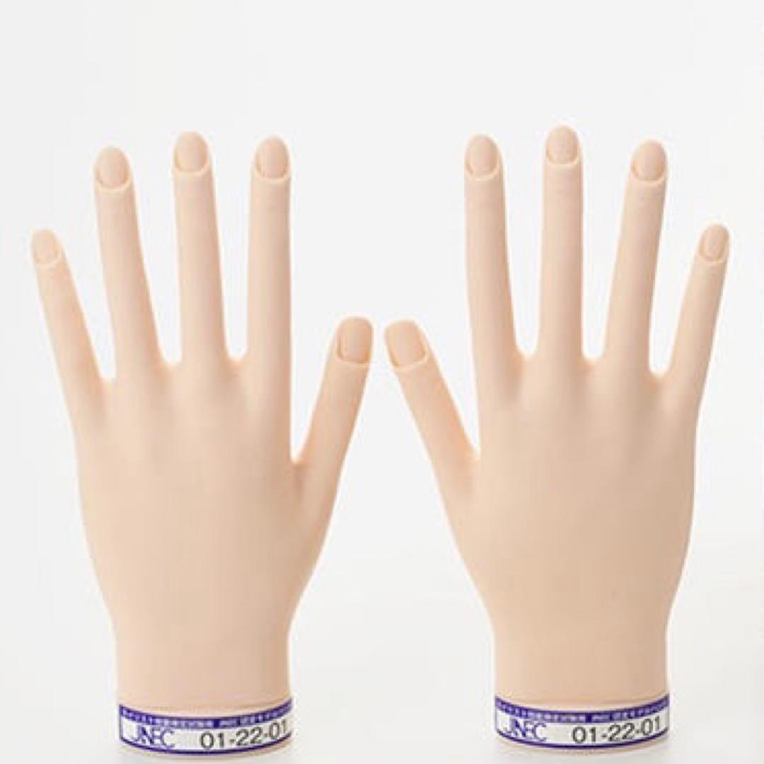 JNEC検定用モデルハンド両手