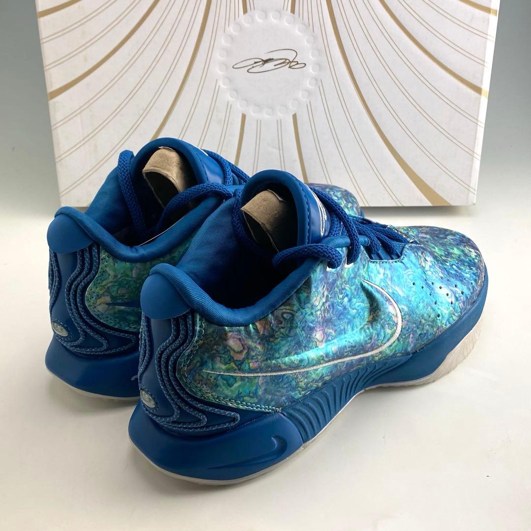 25cm ナイキ レブロン21 \"アバロン\"