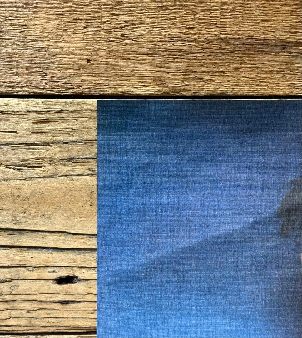 非売品】 Björk ビョーク DEBUT デビュー B3ポスター プロモ - メルカリ